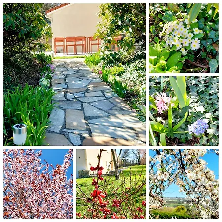 Ferienhaus Gournier's Sweet