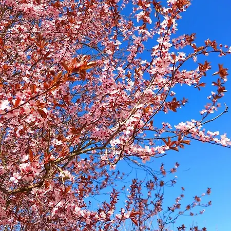 Ferienhaus Gournier's Sweet *